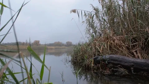 The river Bank on the South of Russia  Stock Footage