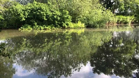 River bank in spring Stock-Footage 108750956