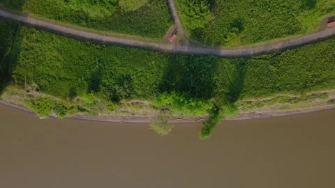 River bank on the trail Stock Footage 313713255