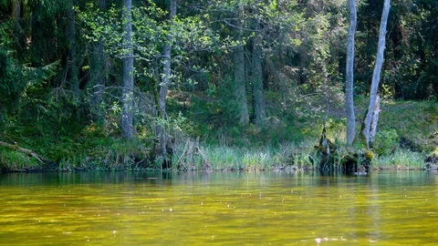 River bank view2 Stock Footage 127844261