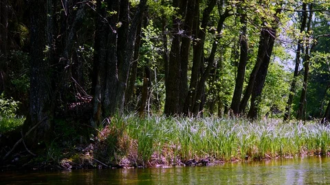 River bank view3 Stock Footage 127844391