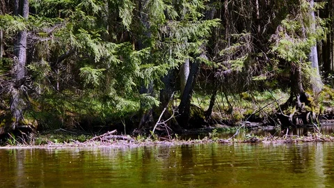 River bank view4 Stock Footage 127844646