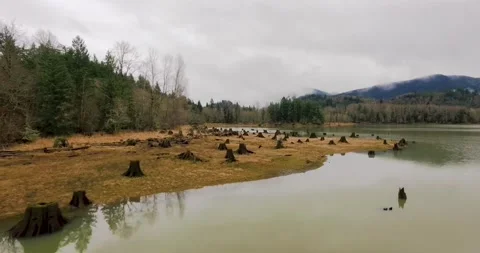 River Bank in Washington State Stock Footage 169892571