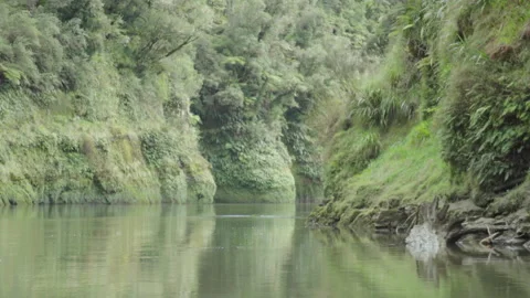 River banks from boat Stock-Footage 160942414