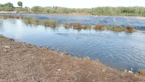 River with banks protected from erosion Stock Footage 164651787
