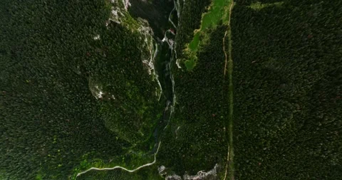 River Basin Surrounded By High Cliffs Covered In An Evergreen Forest Aerial Top Stock Footage 289411435