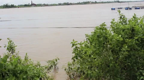 River bath scene Stock Footage 58200362