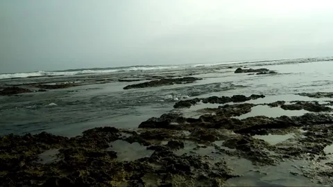 River at the beach Stock Footage 246429608