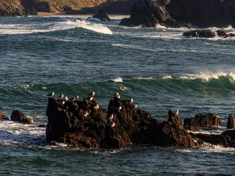 The river beach Stock Photos