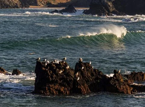 The river beach Stock Photos