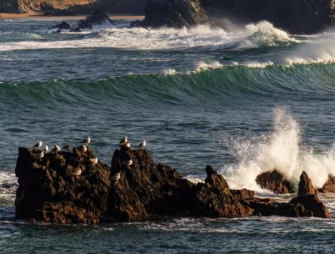 The river beach Stock Photos