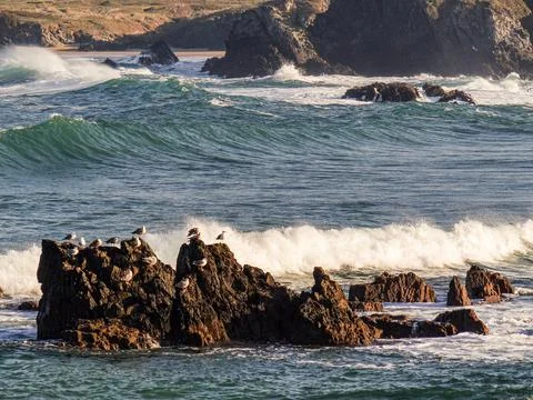 The river beach Stock Photos