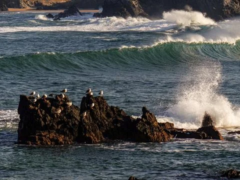 The river beach Stock Photos