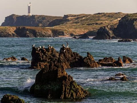 The river beach Stock Photos