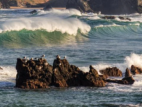 The river beach Stock Photos