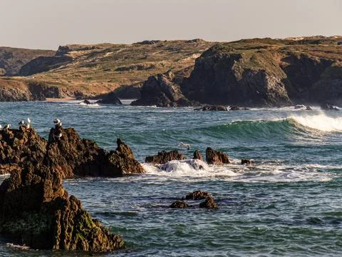 The river beach Stock Photos