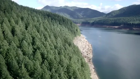 River beach surrounded by a forest as seen from the sky Stock Footage 223369683