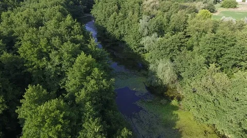 River in a beautiful forest. Aerial view Stock Footage 77157783