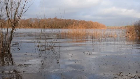 River in the beautiful light of the low sun Stock Footage 122269683