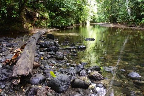 River with beautiful rocks Stock Photos