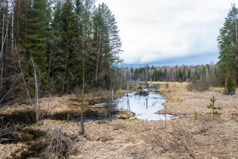 River is a beautiful spring landscape. Stock Photos