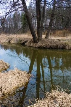 River is a beautiful spring landscape. Stock Photos