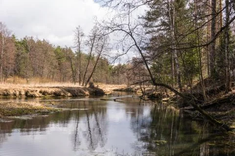 River is a beautiful spring landscape. Stock Photos