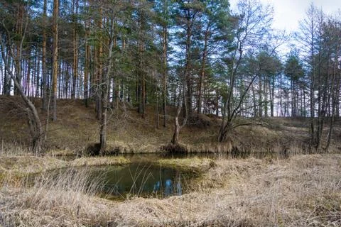 River is a beautiful spring landscape. Stock Photos