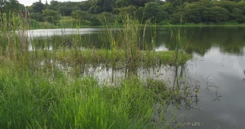 River with beautifull view Stock Footage 191739087