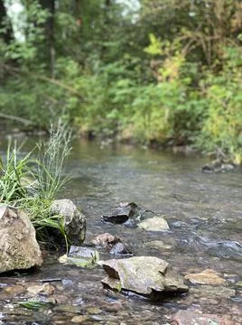 River Bed and Landscape Stock Photos