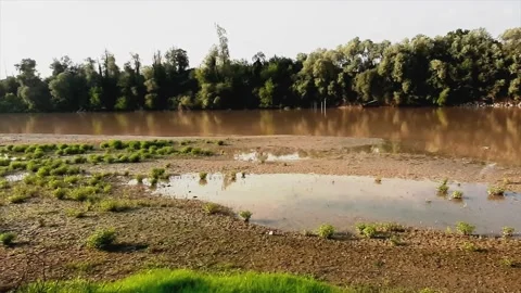 River bed exposed by extreme climate great drought Stock Footage 203824604