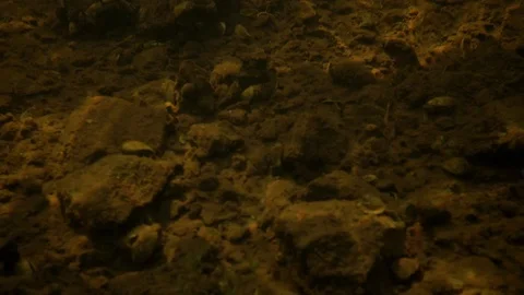 River Bed Light rays penetrating surface Stock Footage 92148705
