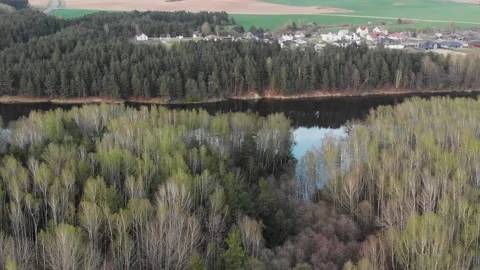 River behind forest. Stock Footage 131305914