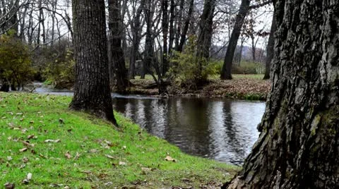 River Behind Trees in the Fall Stock Footage 8991533