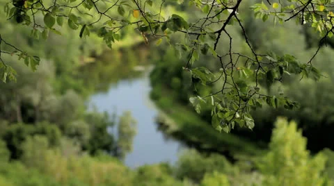 The river behind the trees Stock Footage 24037193