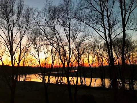 River behind the trees Stock Photos