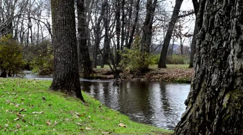 River Behing Trees in the Fall (Pan Down) Stock Footage 8991935