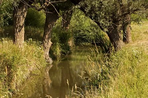 River Beli Lom, which meanders in the valley of limestone rocks Stock Photos