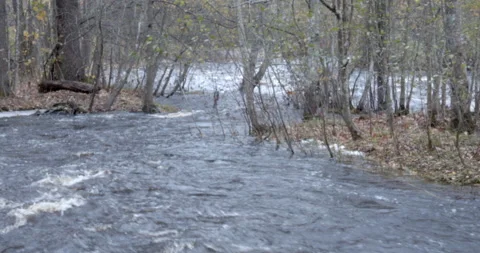River below a hydropower plant streaming down forest 스톡 동영상 163219822