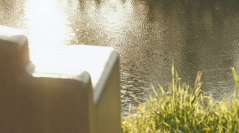 River Bench Video stock 312954