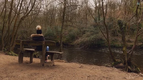 River Bench Vídeo Stock 127021124