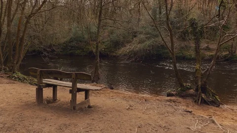 River Bench Vídeo Stock 127022172