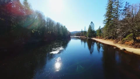River Bend and Autumn Forest Stock Footage 320323182