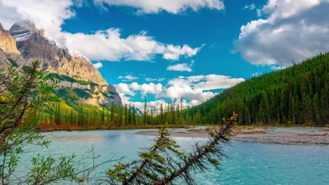 River Bend Dual Pine Banff Mt. Wilson Jasper National Park Time Lapse Stock Footage 134642466