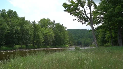 River bend Stock Footage 171342837