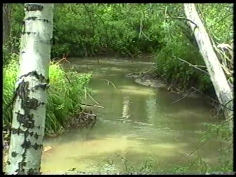 River Bend Stock Footage 340541327