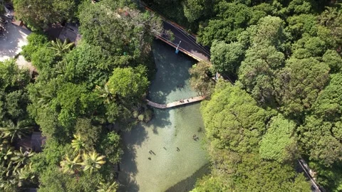 River bend with a pedestrian bridge through the forest, top-down aerial view Stockbeeldmateriaal 278369241
