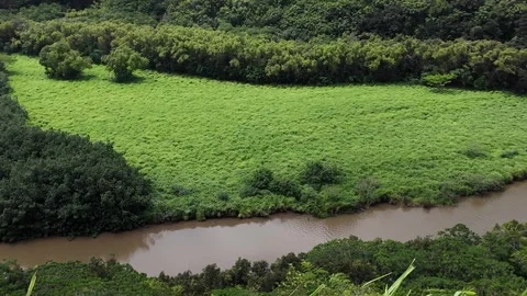 River bend winding through bright green fields in Kauai Hawaii 動画素材 347826172