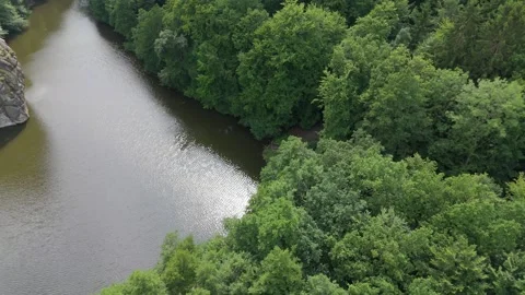 River Bend Winding Through A German Forest 스톡 동영상 339367619