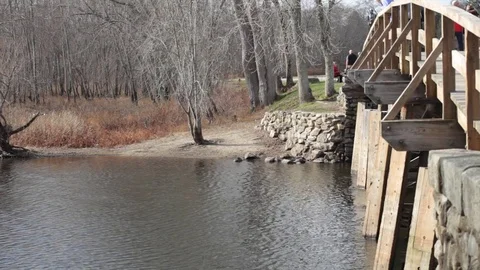 River beneath bridge Stock Footage 73748606